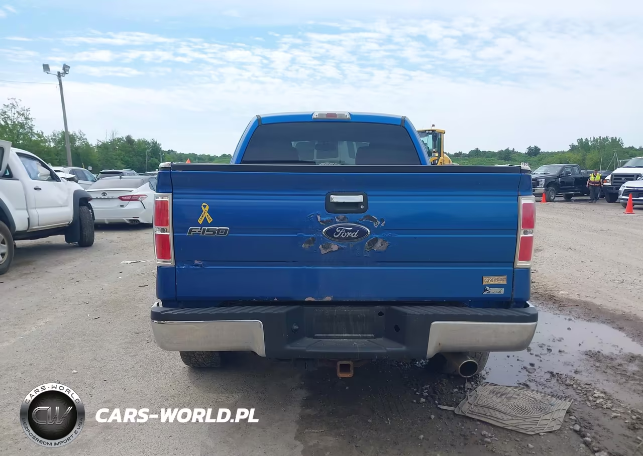 2010 Ford F-150 Fx4-Lariat-Xl-Xlt VIN:1FTFX1EV6AFD21846 - 16