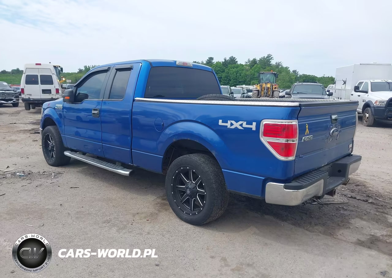 2010 Ford F-150 Fx4-Lariat-Xl-Xlt VIN:1FTFX1EV6AFD21846 - 3