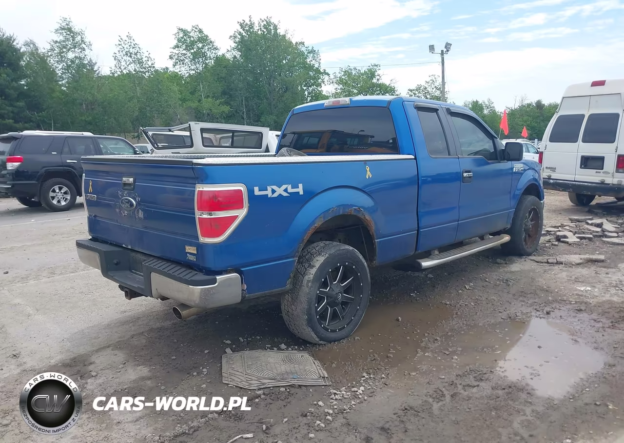 2010 Ford F-150 Fx4-Lariat-Xl-Xlt VIN:1FTFX1EV6AFD21846 - 4