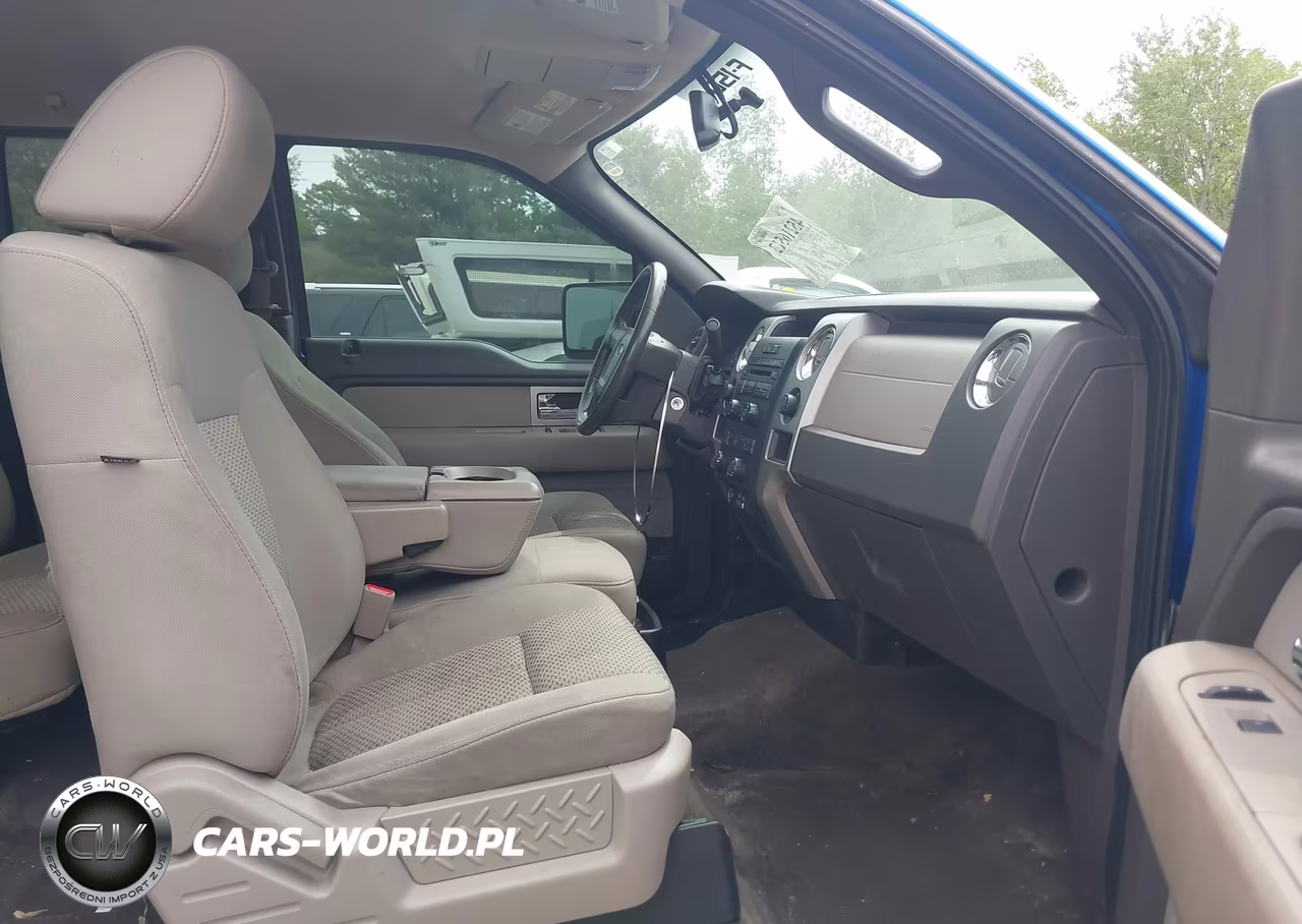 2010 Ford F-150 Fx4-Lariat-Xl-Xlt VIN:1FTFX1EV6AFD21846 - 5