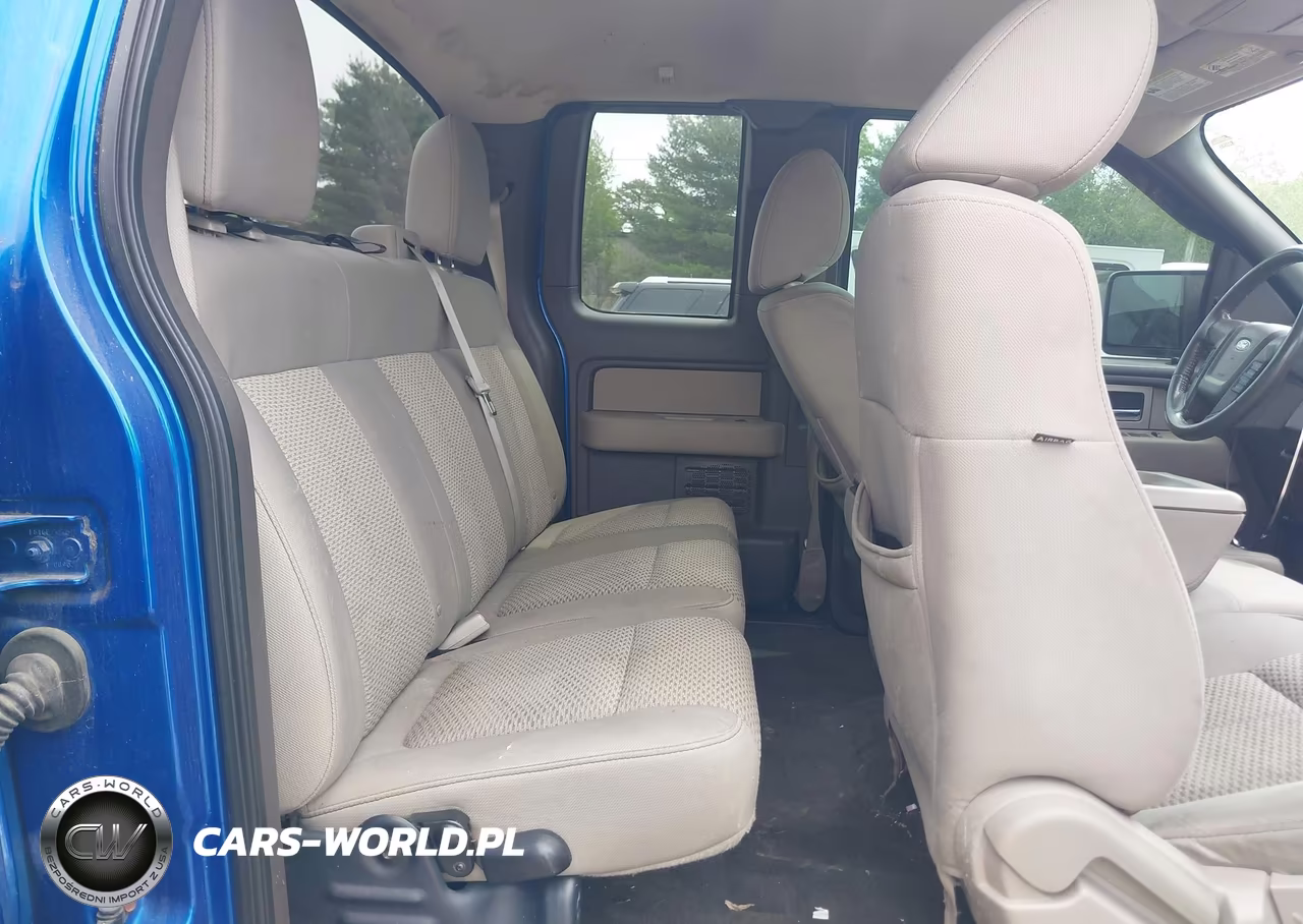 2010 Ford F-150 Fx4-Lariat-Xl-Xlt VIN:1FTFX1EV6AFD21846 - 8