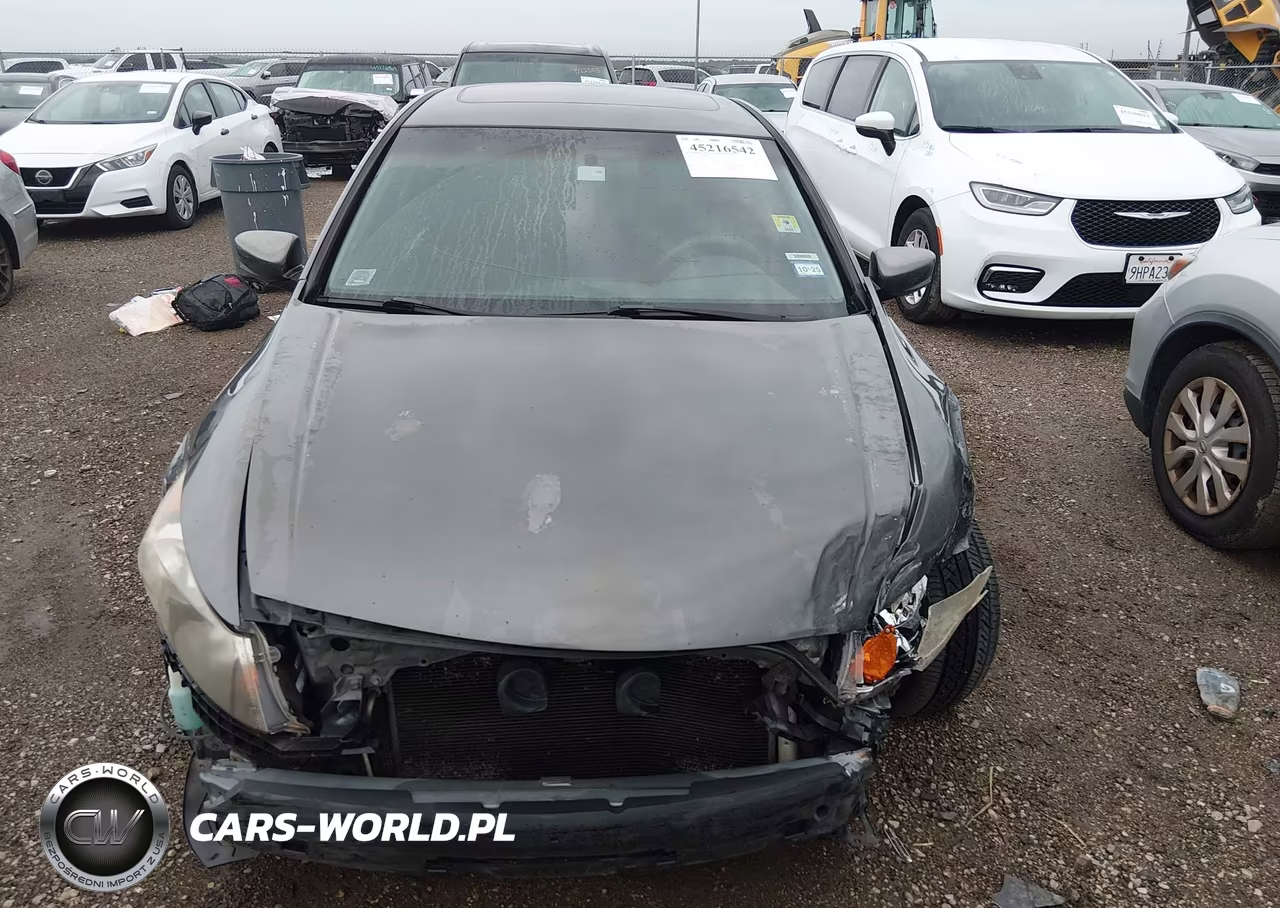 2010 Honda Accord 2.4 Ex VIN:1HGCP2F77AA039240 - 12