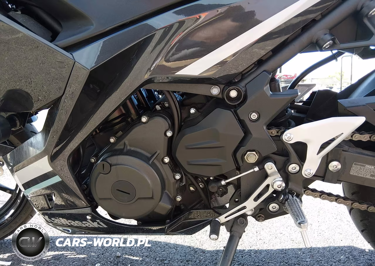 2020 Kawasaki Ex400 VIN:JKAEXKG19LDA64432 - 9