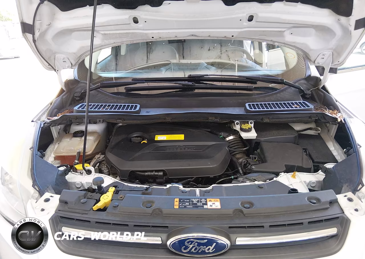 2016 Ford Escape Se VIN:1FMCU0GX4GUC77351 - 10