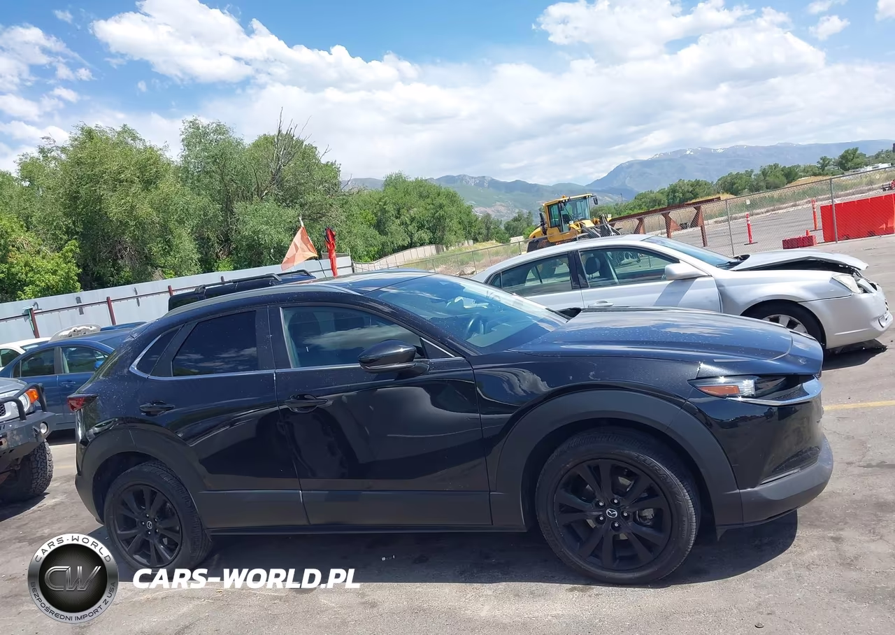 2024 Mazda Cx-30 2.5 S Preferred Package VIN:3MVDMBCM4RM621279 - 13