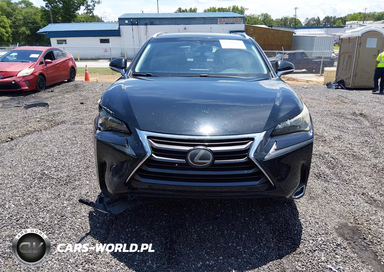 2016 Lexus Nx 200T VIN:JTJYARBZ8G2035641 - 12