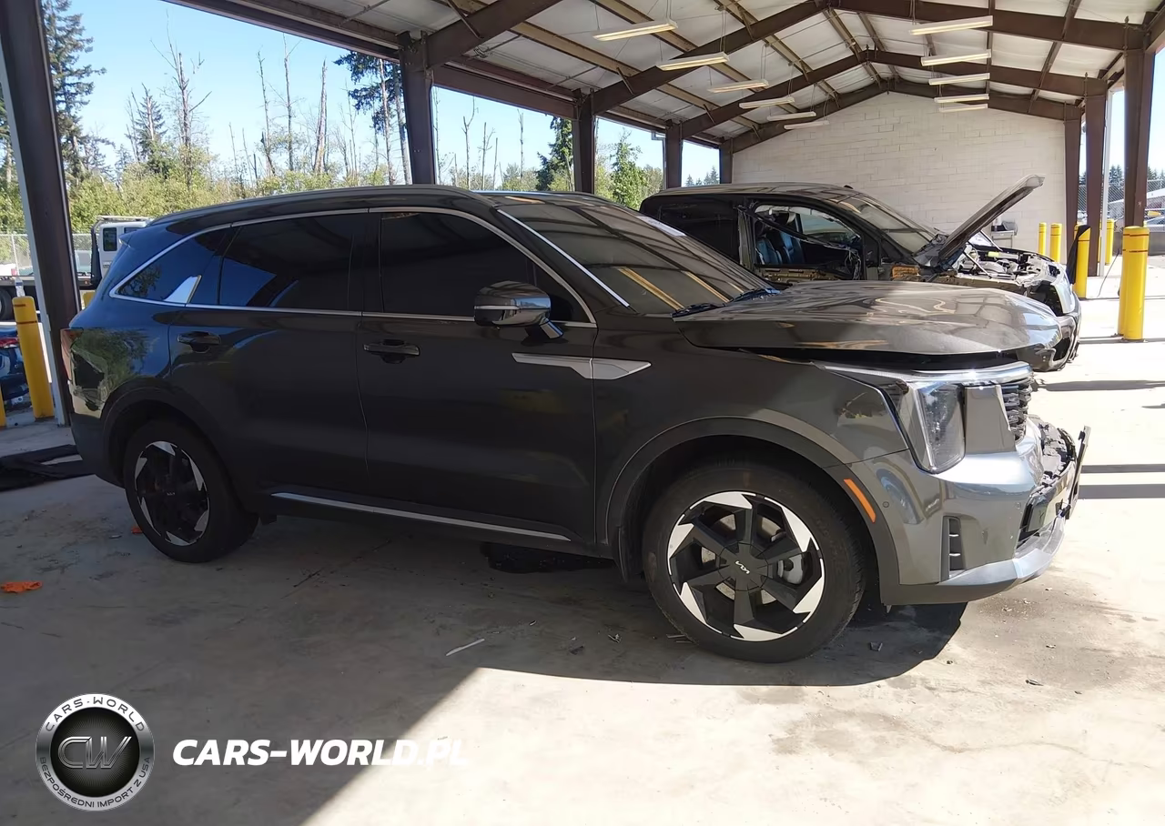 2025 Kia Sorento Hybrid Sx Prestige VIN:KNDRKDJG0S5302074 - 13
