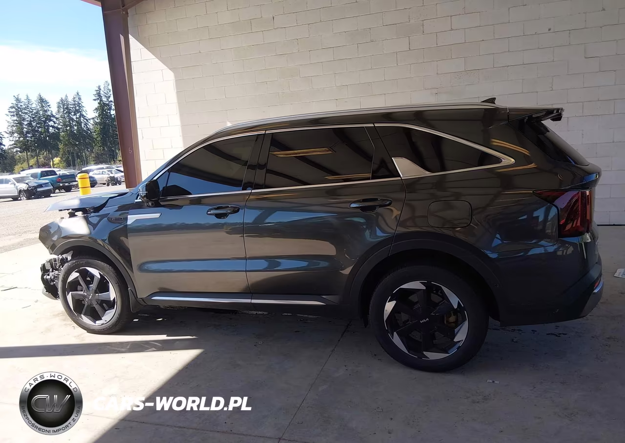 2025 Kia Sorento Hybrid Sx Prestige VIN:KNDRKDJG0S5302074 - 14