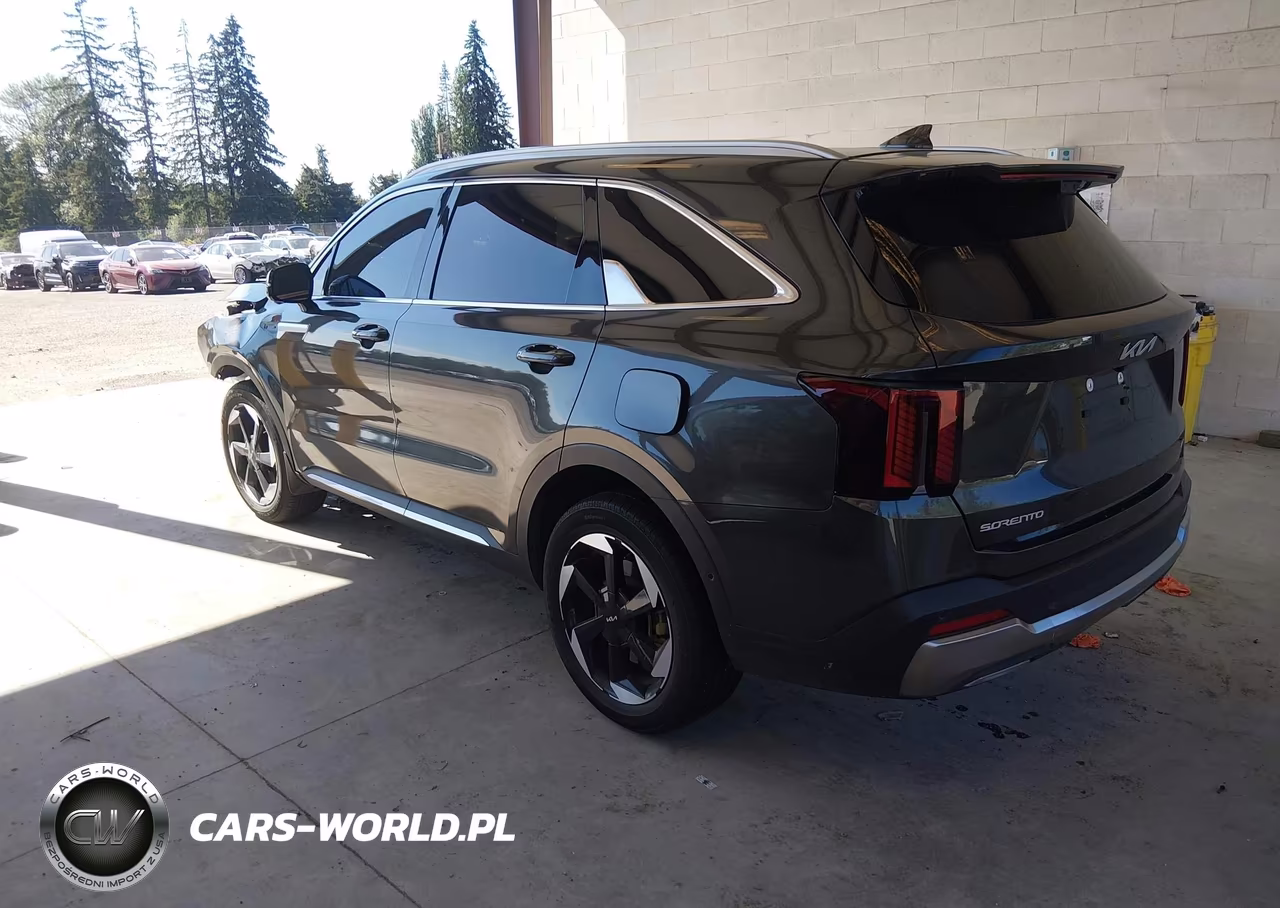 2025 Kia Sorento Hybrid Sx Prestige VIN:KNDRKDJG0S5302074 - 3