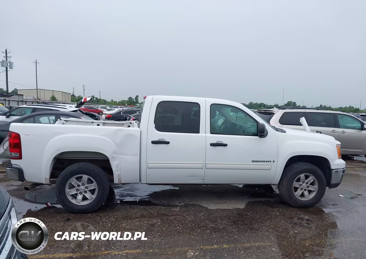 2009 GMC Sierra 1500 Sl VIN:3GTEC13C49G109644 - 13