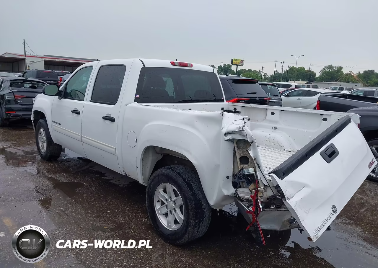 2009 GMC Sierra 1500 Sl VIN:3GTEC13C49G109644 - 3