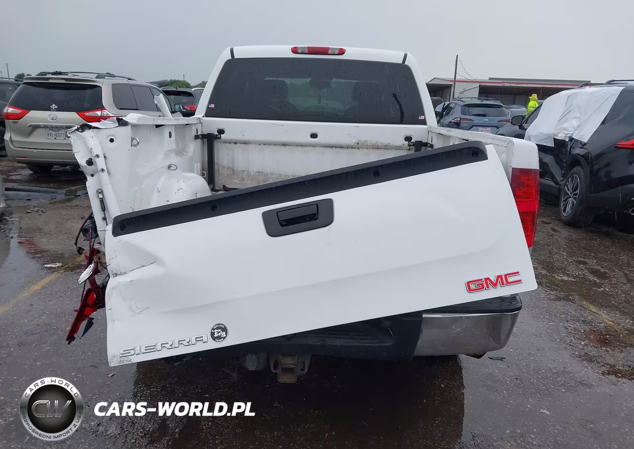 2009 GMC Sierra 1500 Sl VIN:3GTEC13C49G109644 - 6