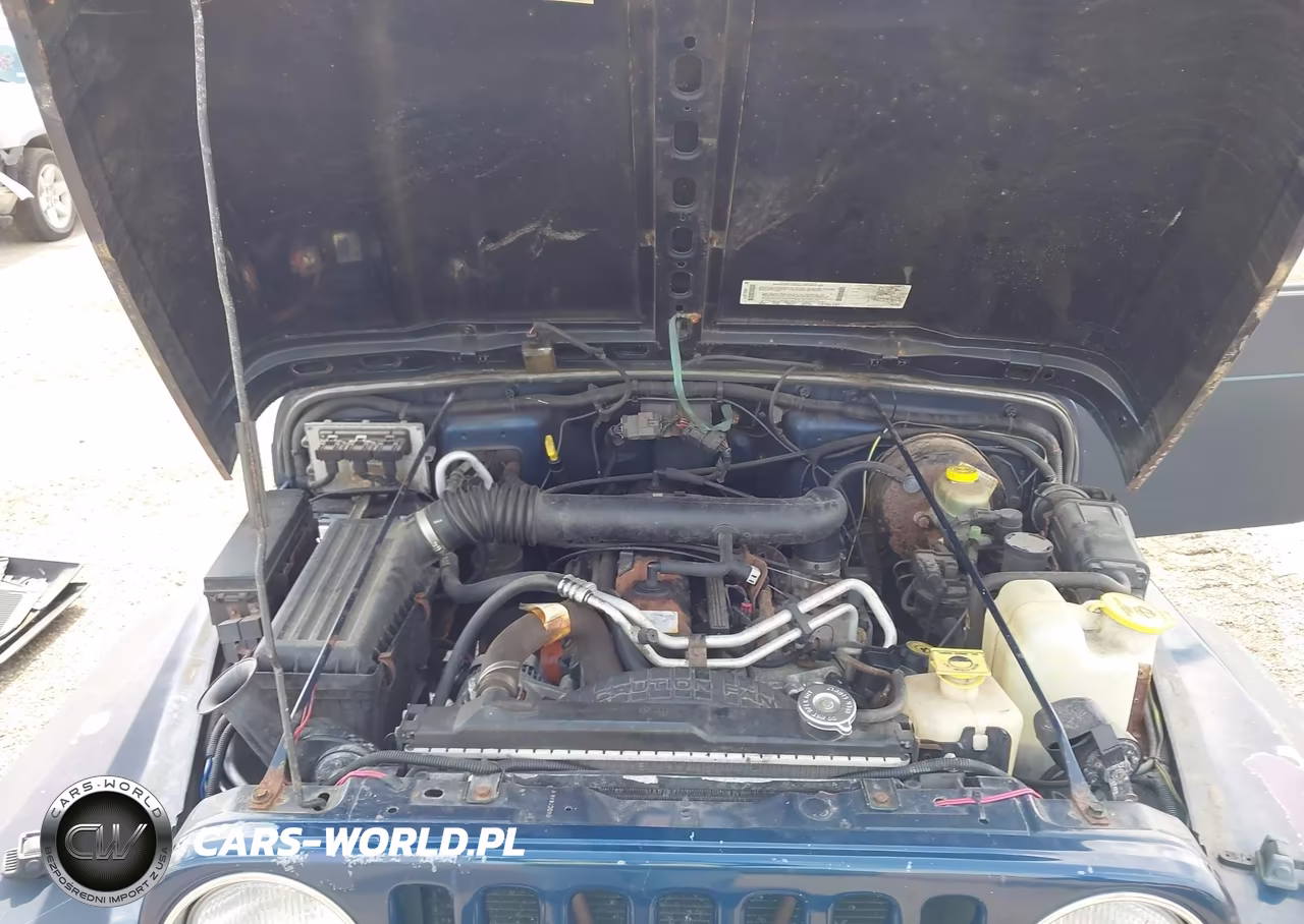2002 Jeep Wrangler Sport VIN:1J4FA49S72P723187 - 10