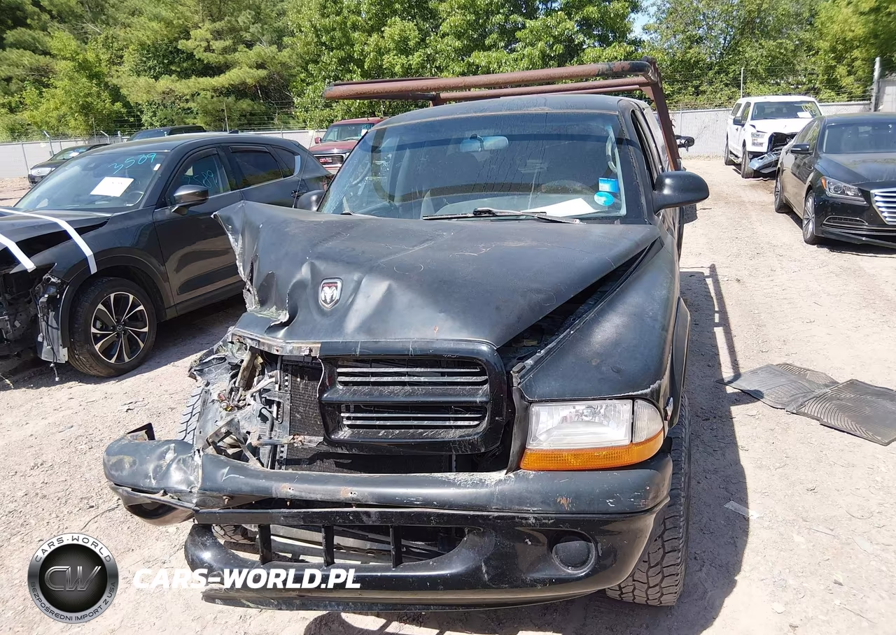 2000 Dodge Dakota Slt-Sport VIN:1B7GG22N0YS796716 - 12