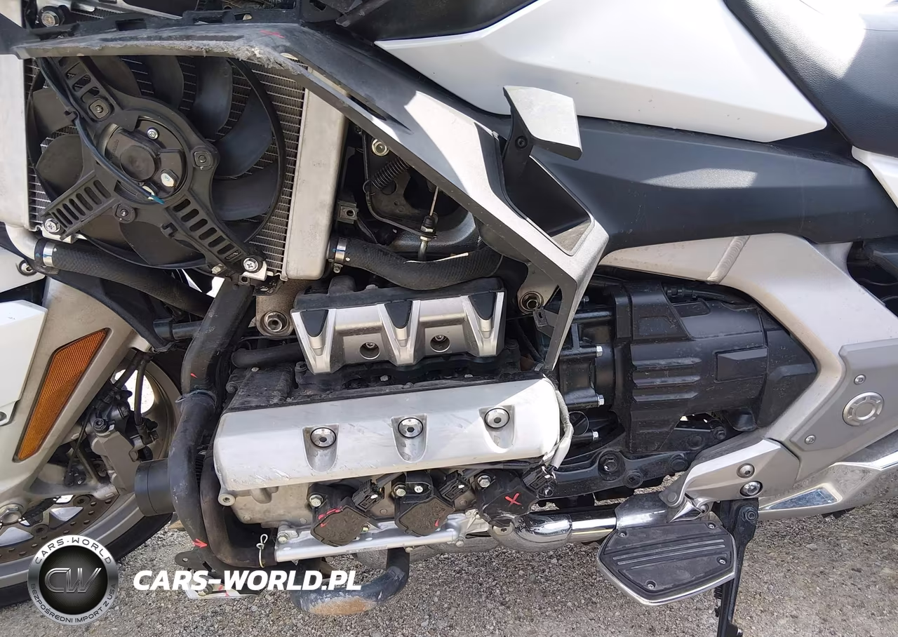 2018 Honda Gl1800 D VIN:JH2SC7957JK000078 - 9