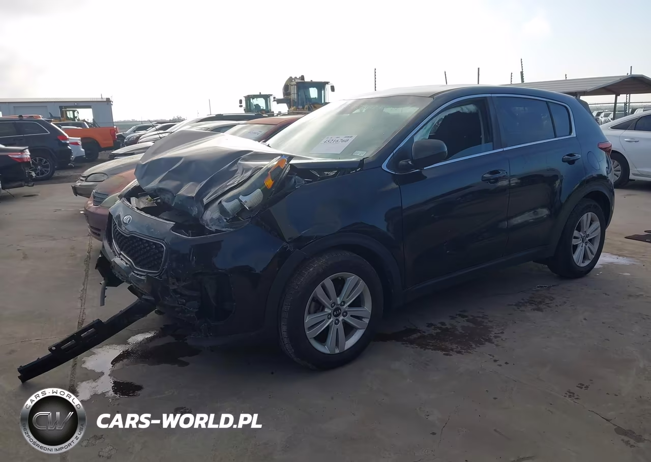 2019 Kia Sportage Lx VIN:KNDPM3AC1K7591916 - 2