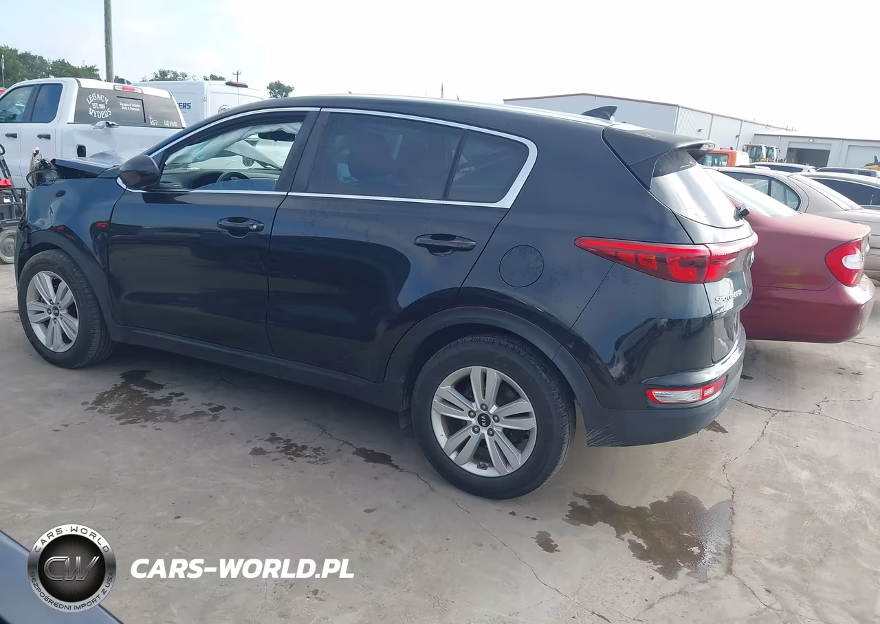 2019 Kia Sportage Lx VIN:KNDPM3AC1K7591916 - 3