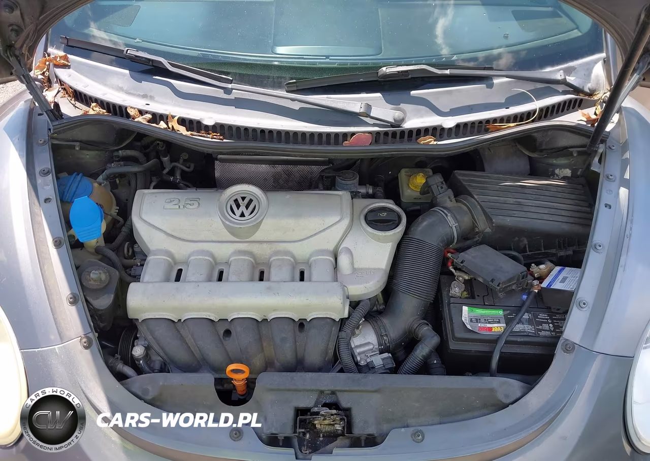 2006 Volkswagen New Beetle 2.5 VIN:3VWSF31Y46M300785 - 10