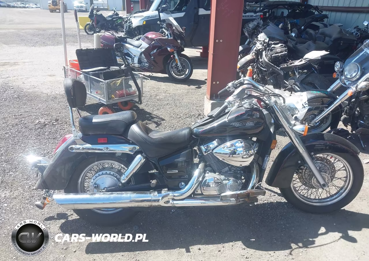 2007 Honda Vt750 VIN:JH2RC50477M304242 - 12