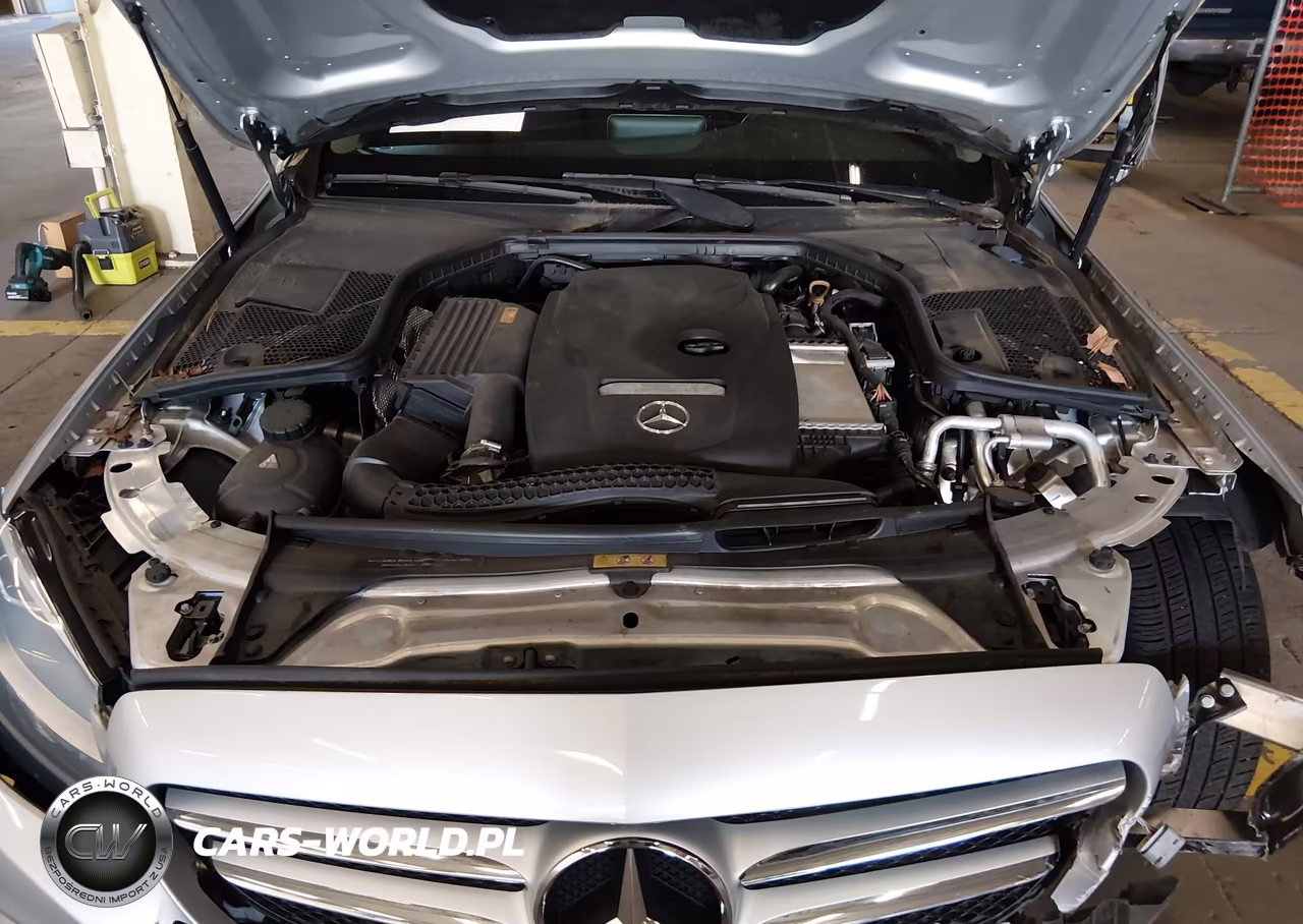 2018 Mercedes-Benz C 300 VIN:55SWF4JB1JU245116 - 10