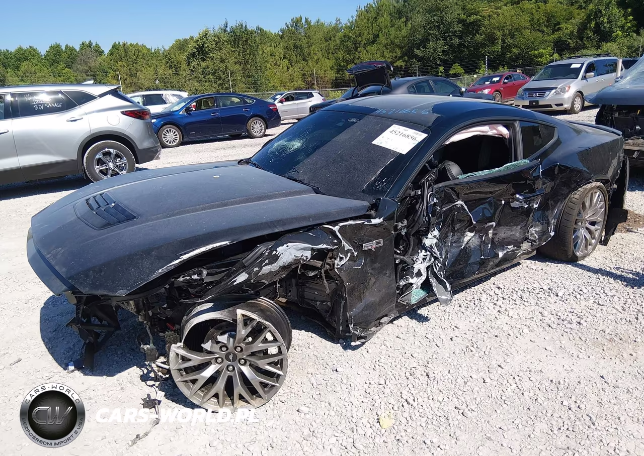 2024 Ford Mustang Gt Premium Fastback VIN:1FA6P8CFXR5421895 - 2