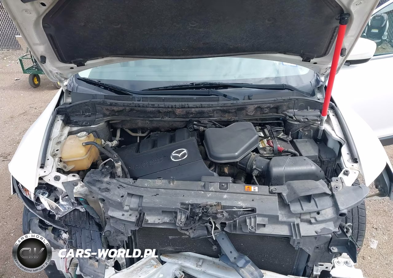 2011 Mazda Cx-9 Touring VIN:JM3TB2CA5B0315863 - 10
