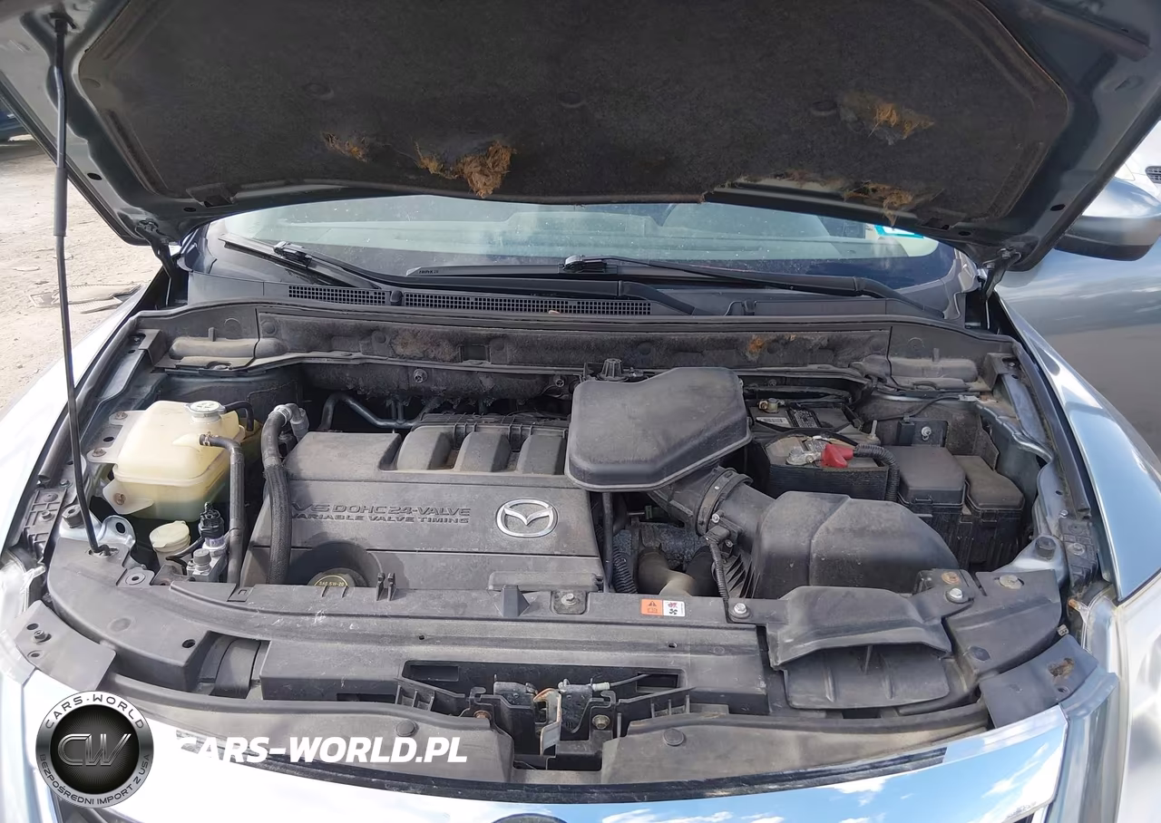 2010 Mazda Cx-9 Sport VIN:JM3TB3MV6A0224932 - 10