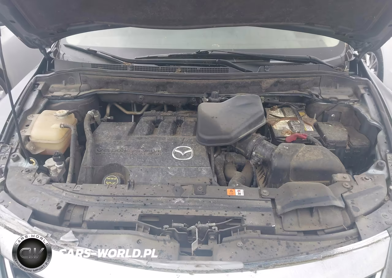 2010 Mazda Cx-9 Sport VIN:JM3TB2MVXA0235443 - 10