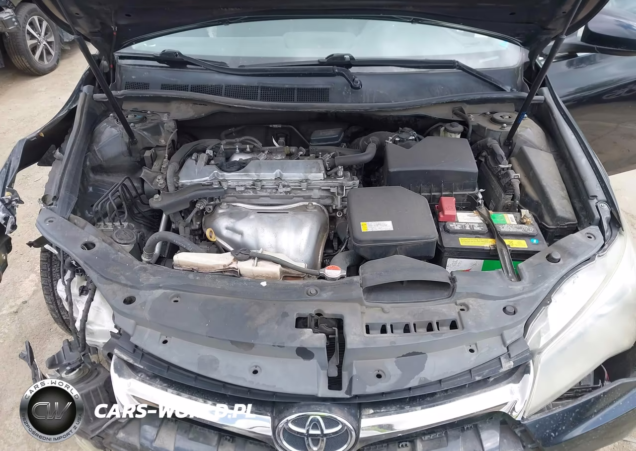 2016 Toyota Camry Se VIN:4T1BF1FK4GU241743 - 10