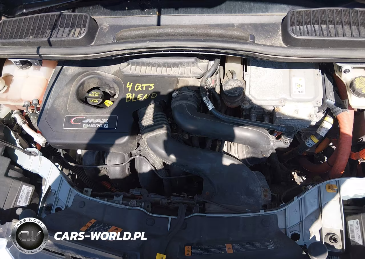 2013 Ford C-Max Energi Sel VIN:1FADP5CU4DL550448 - 10