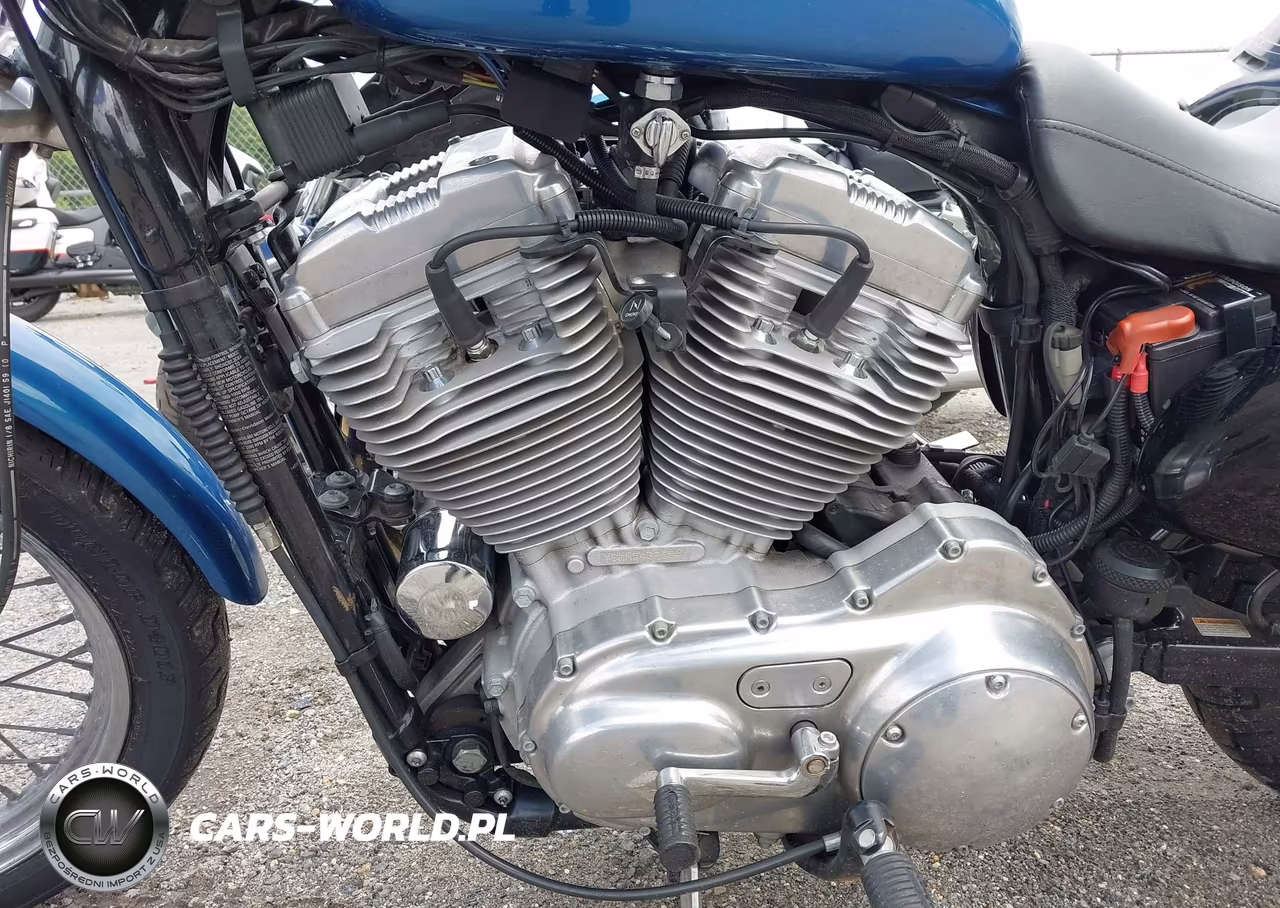 2005 Harley-Davidson Xl883 L VIN:1HD4CMM195K437654 - 9