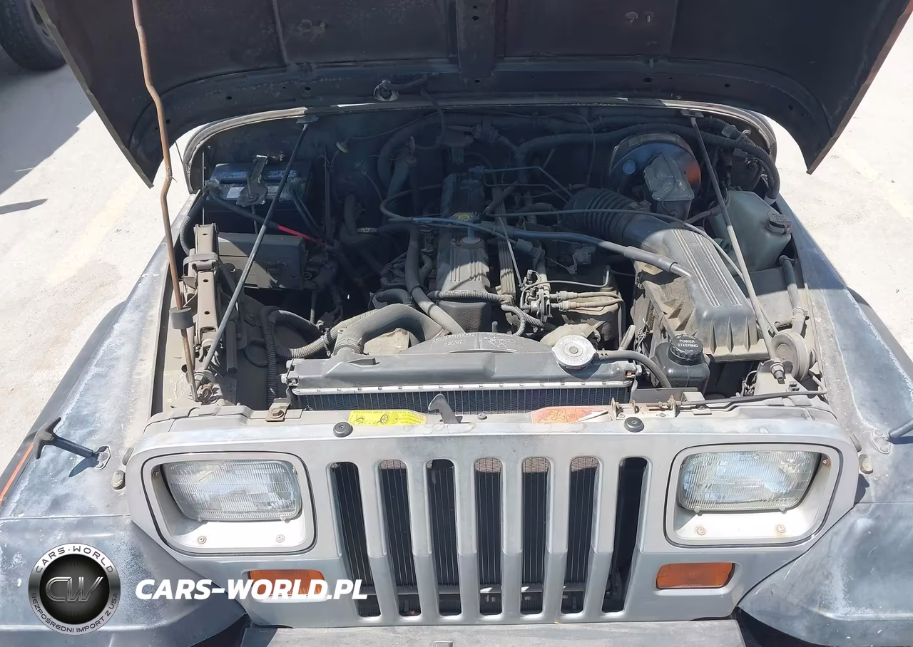 1993 Jeep Wrangler - Yj VIN:1J4FY29S5PP234519 - 10