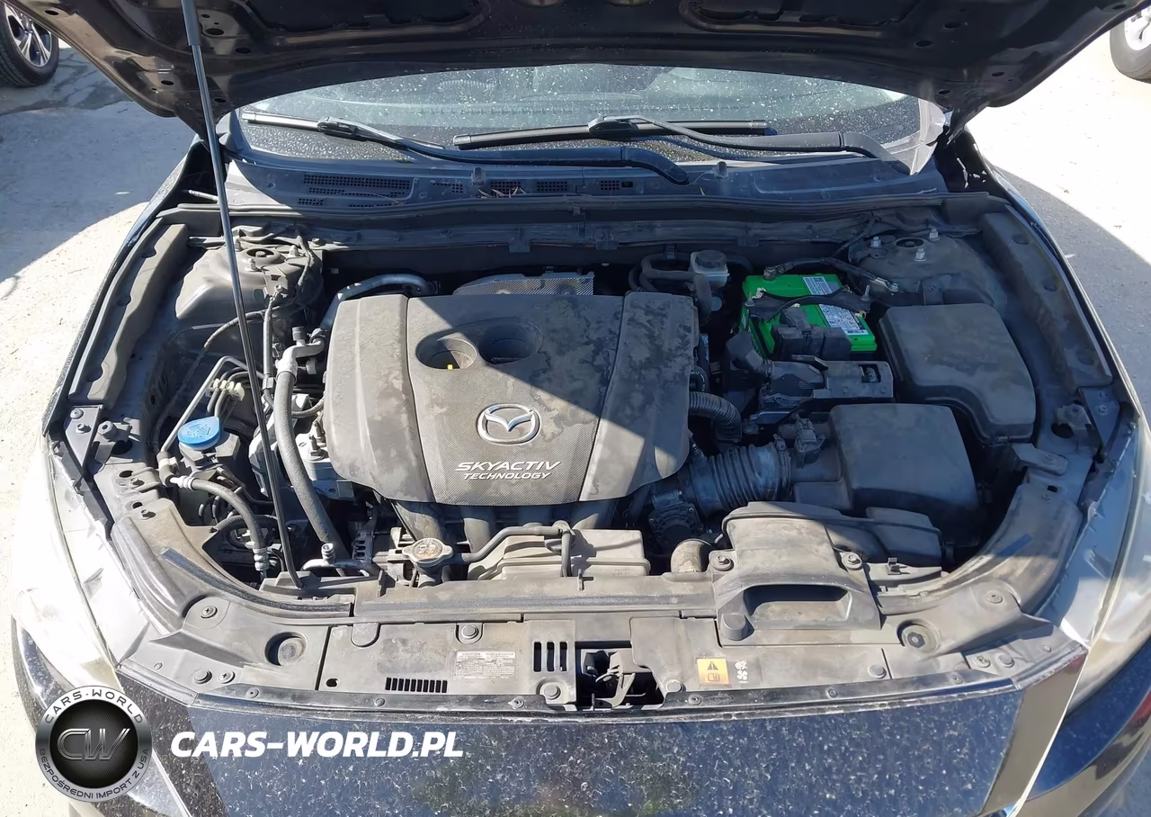 2014 Mazda Mazda3 I Touring VIN:JM1BM1V73E1140909 - 10