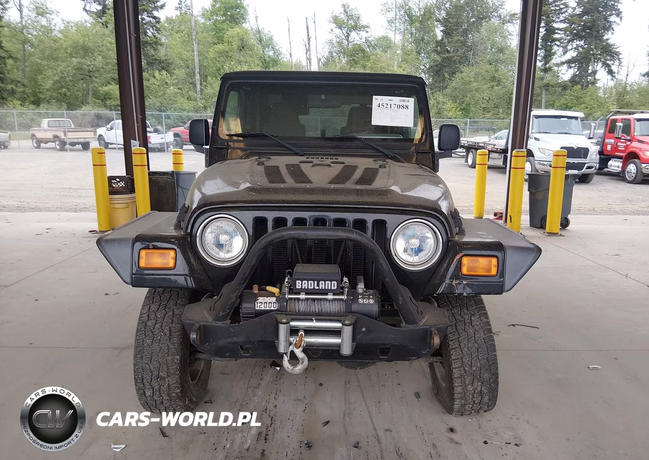 2004 Jeep Wrangler X VIN:1J4FA39S04P730737 - 12