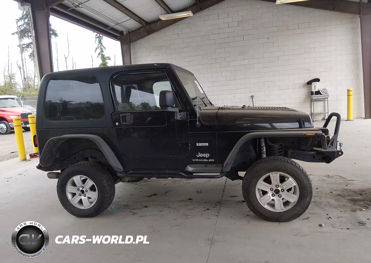 2004 Jeep Wrangler X VIN:1J4FA39S04P730737 - 13
