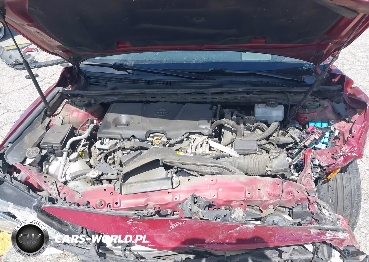 2020 Toyota Camry Xle Hybrid VIN:4T1F31AK6LU541957 - 10