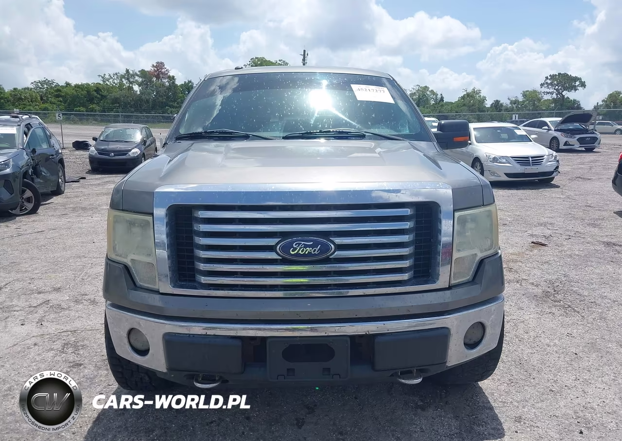 2010 Ford F-150 Fx4-Harley-Davidson-King Ranch-Lariat-Platinum-Xl-Xlt VIN:1FTFW1EV3AFD23976 - 12