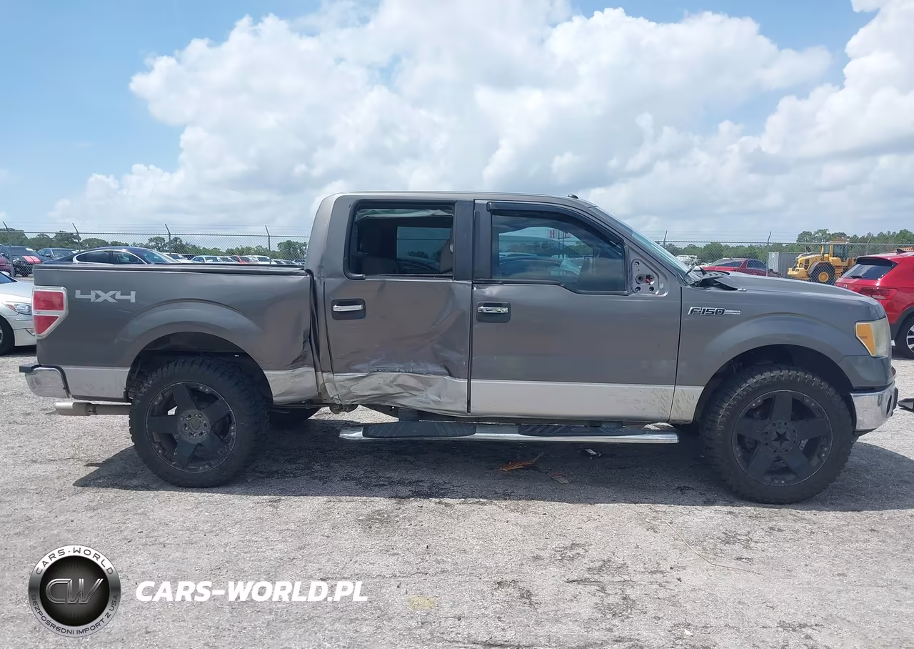 2010 Ford F-150 Fx4-Harley-Davidson-King Ranch-Lariat-Platinum-Xl-Xlt VIN:1FTFW1EV3AFD23976 - 13