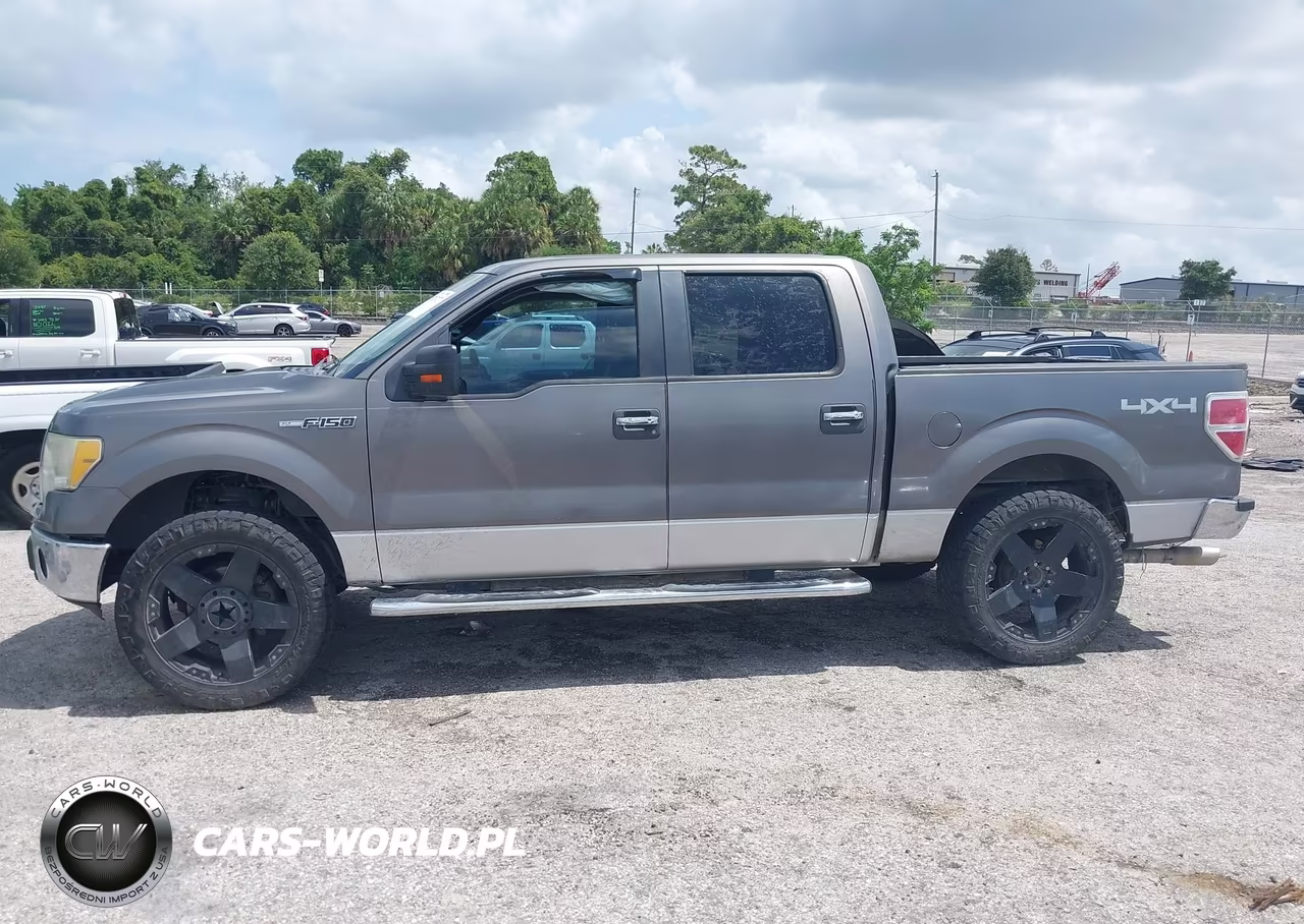 2010 Ford F-150 Fx4-Harley-Davidson-King Ranch-Lariat-Platinum-Xl-Xlt VIN:1FTFW1EV3AFD23976 - 14