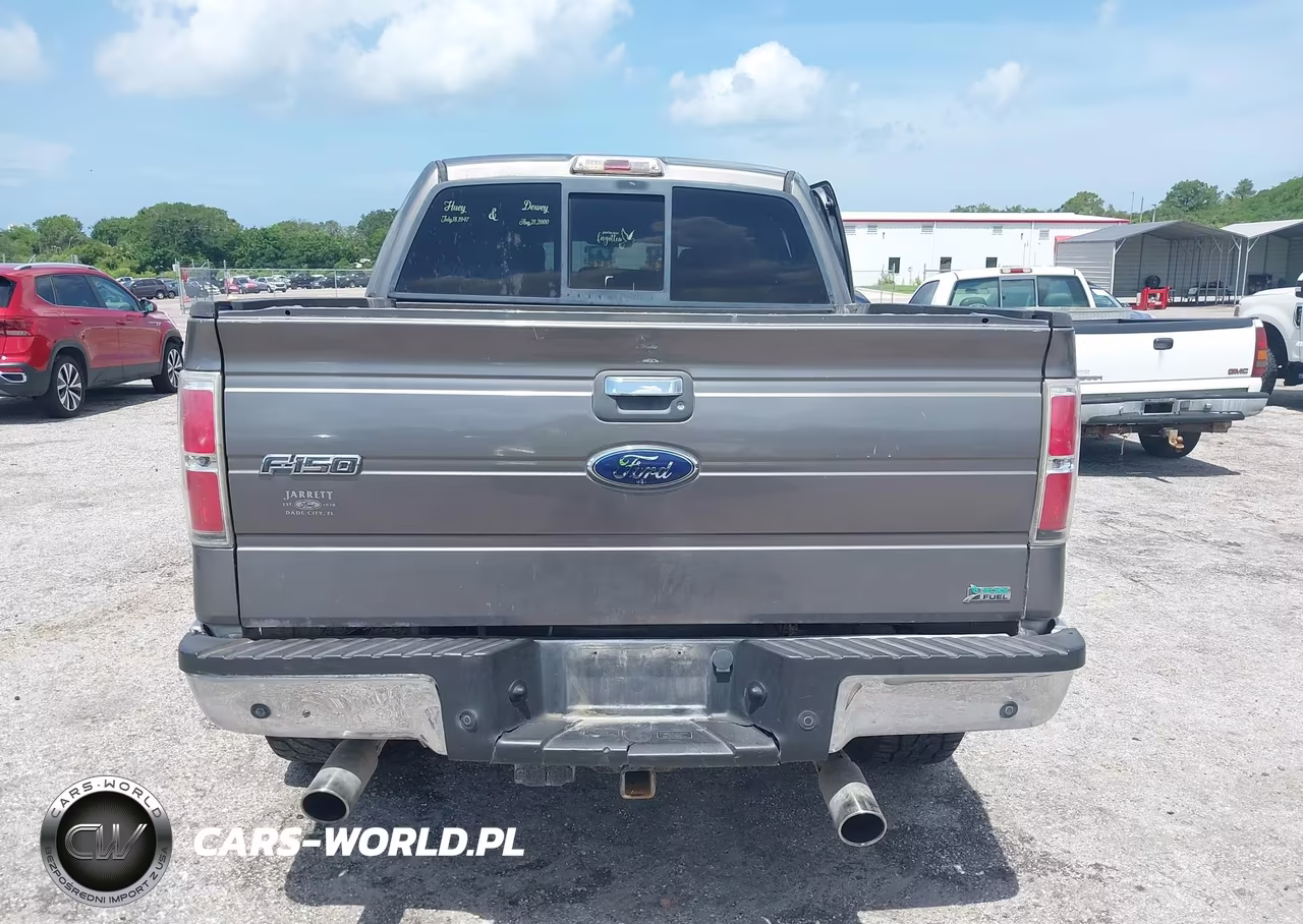 2010 Ford F-150 Fx4-Harley-Davidson-King Ranch-Lariat-Platinum-Xl-Xlt VIN:1FTFW1EV3AFD23976 - 16