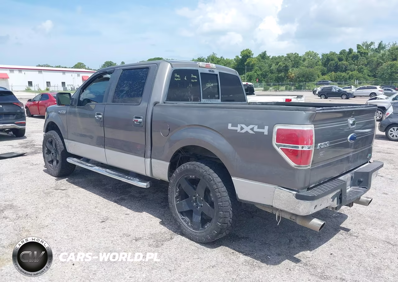 2010 Ford F-150 Fx4-Harley-Davidson-King Ranch-Lariat-Platinum-Xl-Xlt VIN:1FTFW1EV3AFD23976 - 3