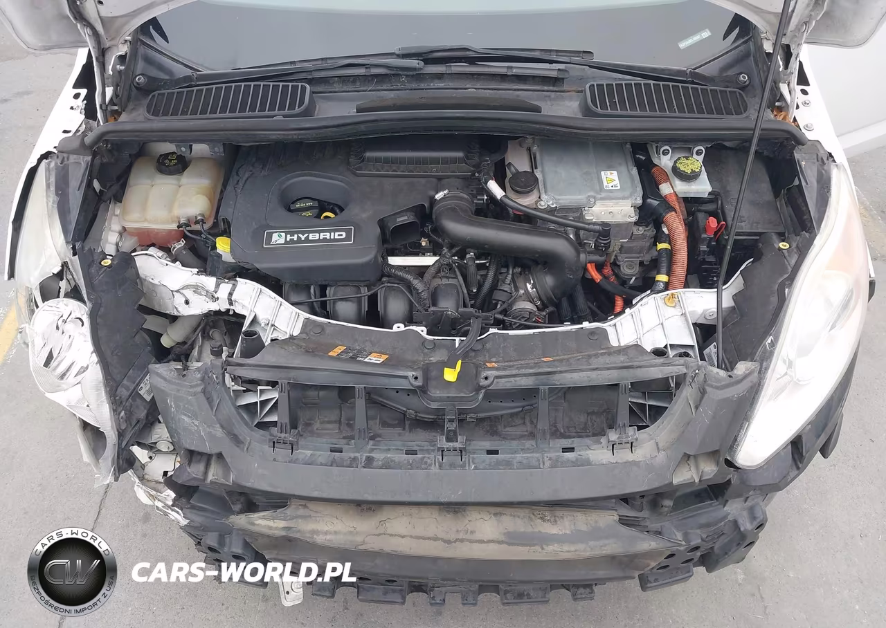 2015 Ford C-Max Hybrid Se VIN:1FADP5AU8FL105507 - 10