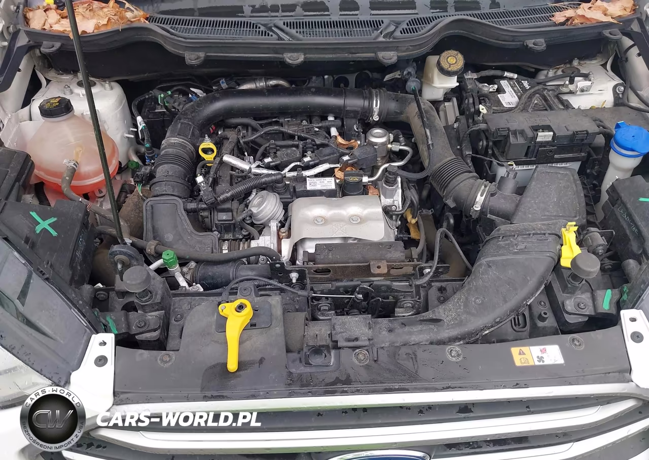 2018 Ford Ecosport Se VIN:MAJ3P1TE8JC206775 - 10