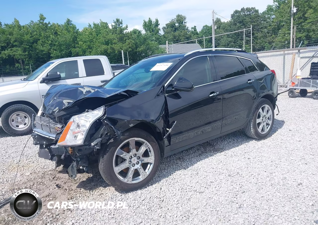 2011 Cadillac Srx Premium Collection VIN:3GYFNCEY8BS529813 - 2