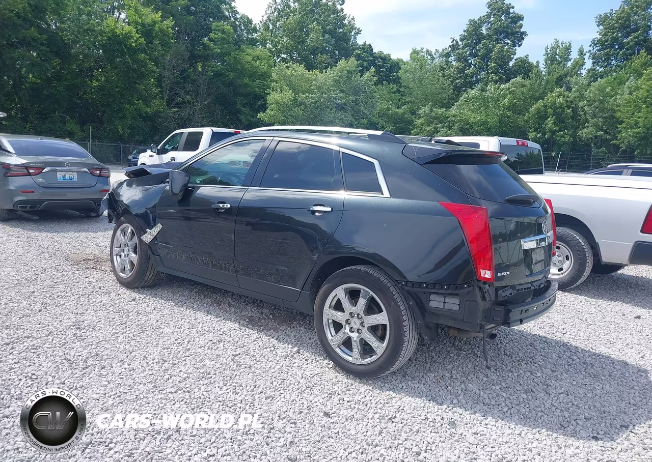 2011 Cadillac Srx Premium Collection VIN:3GYFNCEY8BS529813 - 3