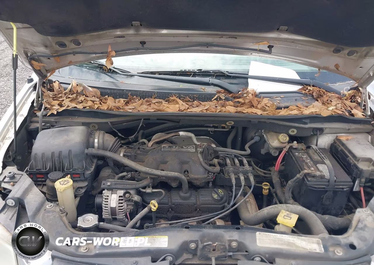2009 Dodge Grand Caravan Se VIN:1D8HN44E99B517124 - 10