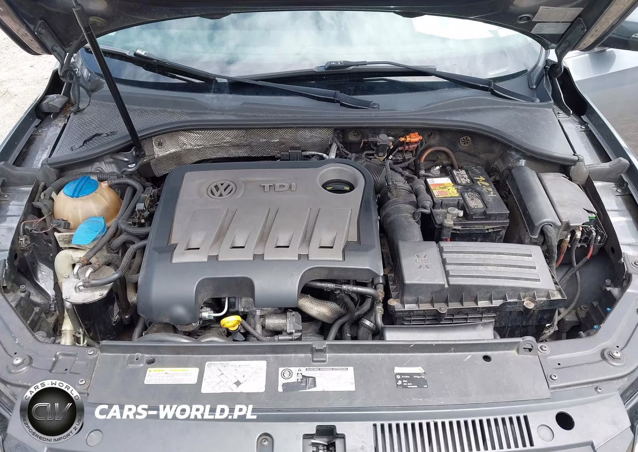 2014 Volkswagen Passat 2.0L Tdi Sel Premium VIN:1VWCN7A32EC120014 - 10