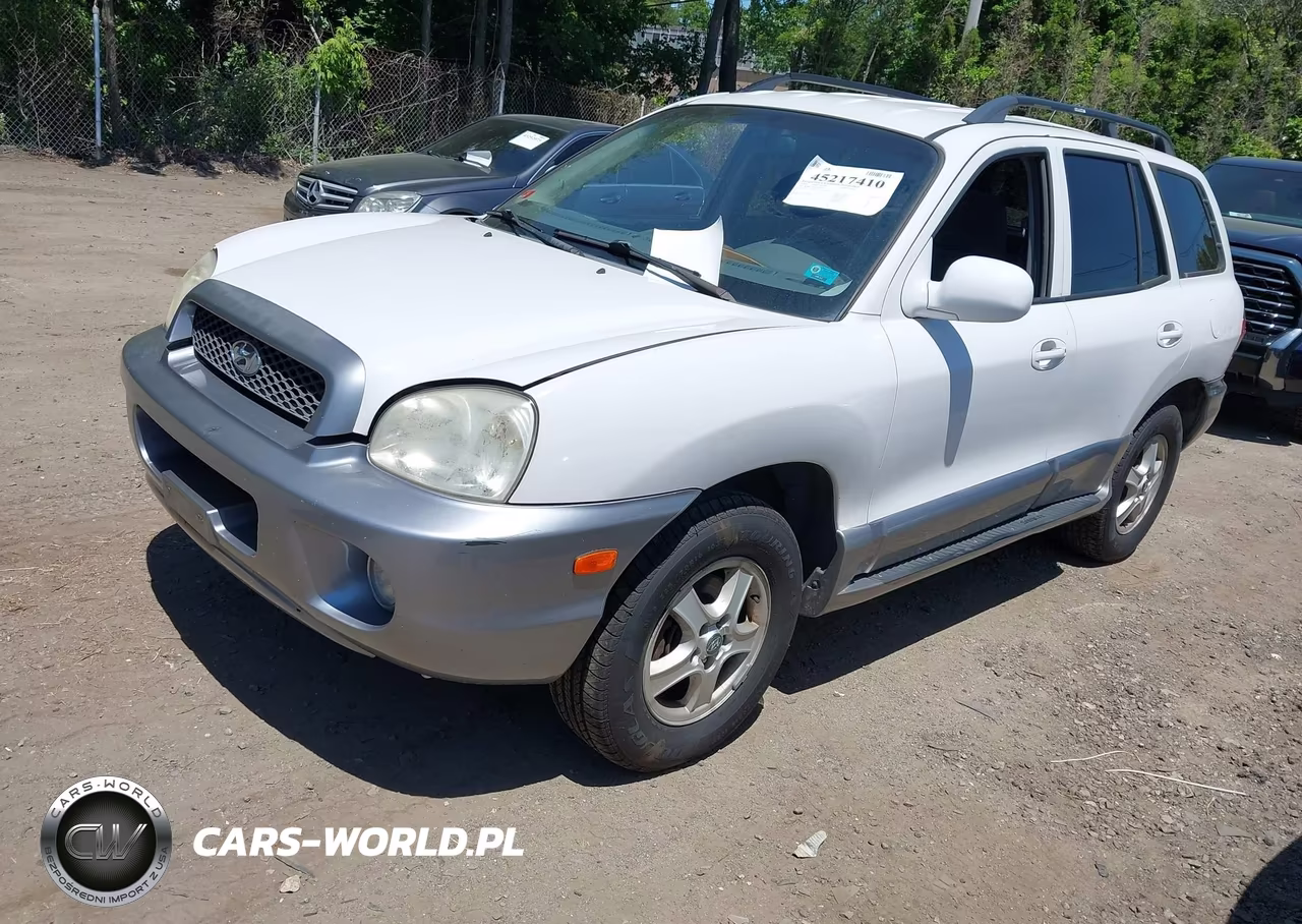 2004 Hyundai Santa Fe Gls VIN:KM8SC13D04U840181 - 2