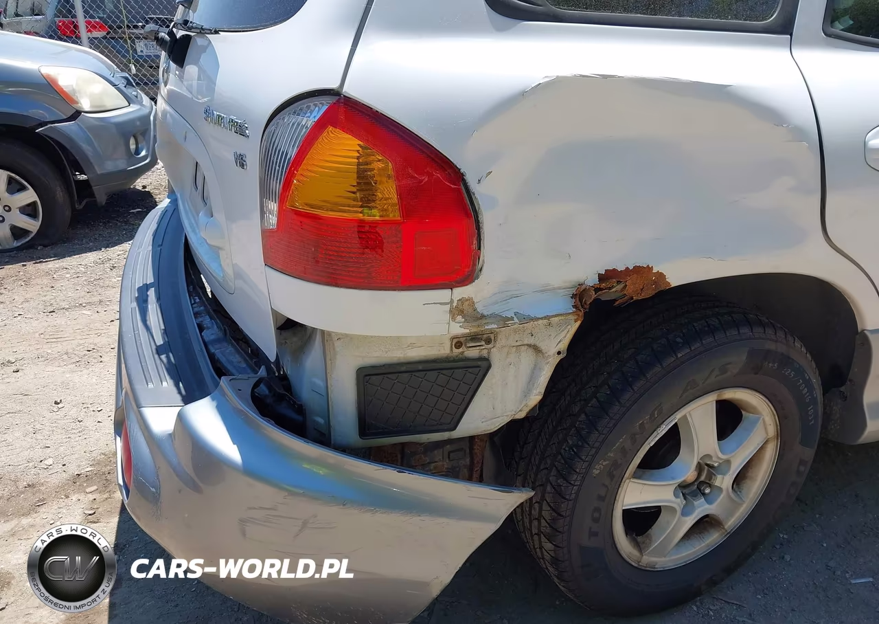 2004 Hyundai Santa Fe Gls VIN:KM8SC13D04U840181 - 6