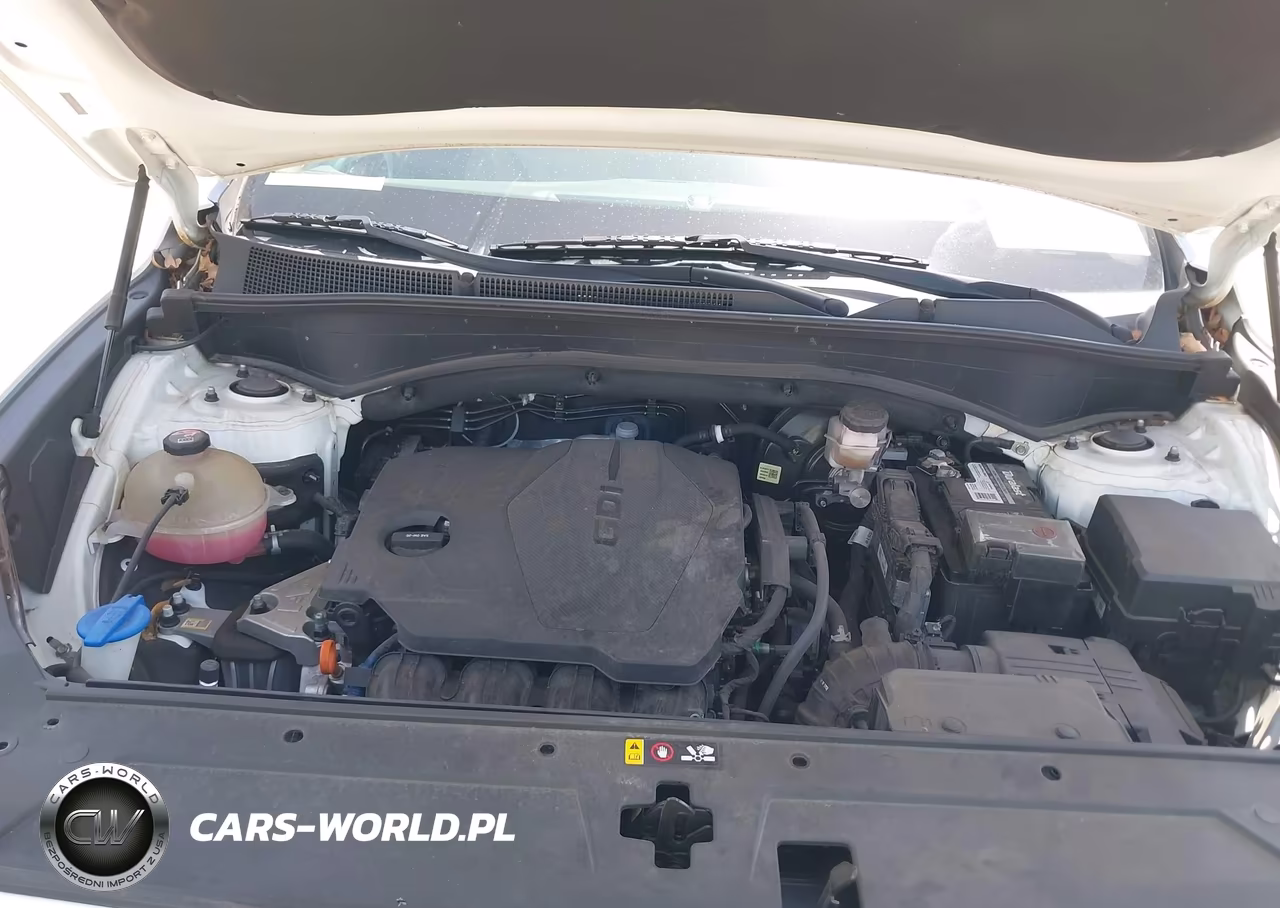 2021 Hyundai Santa Fe Sel VIN:5NMS34AJ9MH332006 - 10